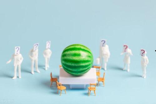 娱乐吃瓜爆料分类大全